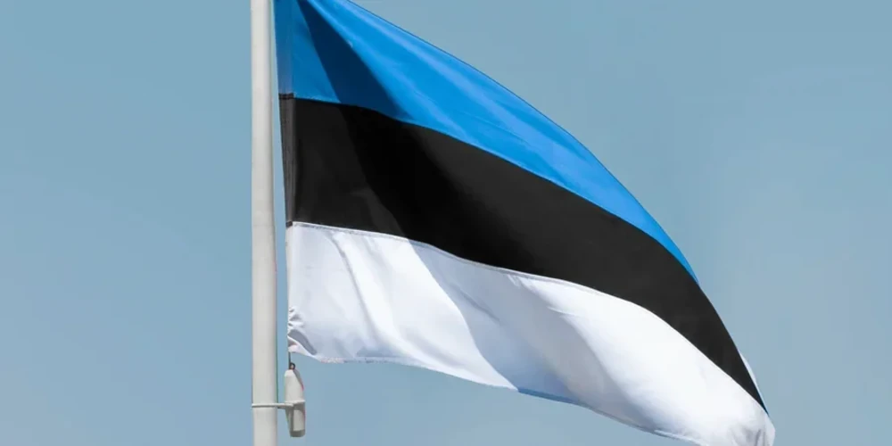 Новий внесок Естонії збільшить допомогу Україні через PURL до 31 млн євро