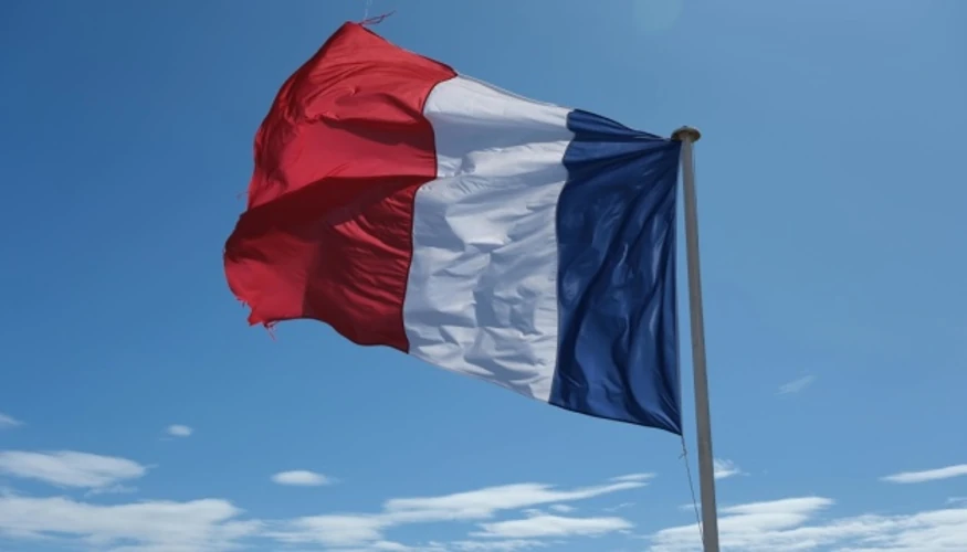 Масова демонстрація в Орлеані об’єднала критику Ле Пен і Макрона
